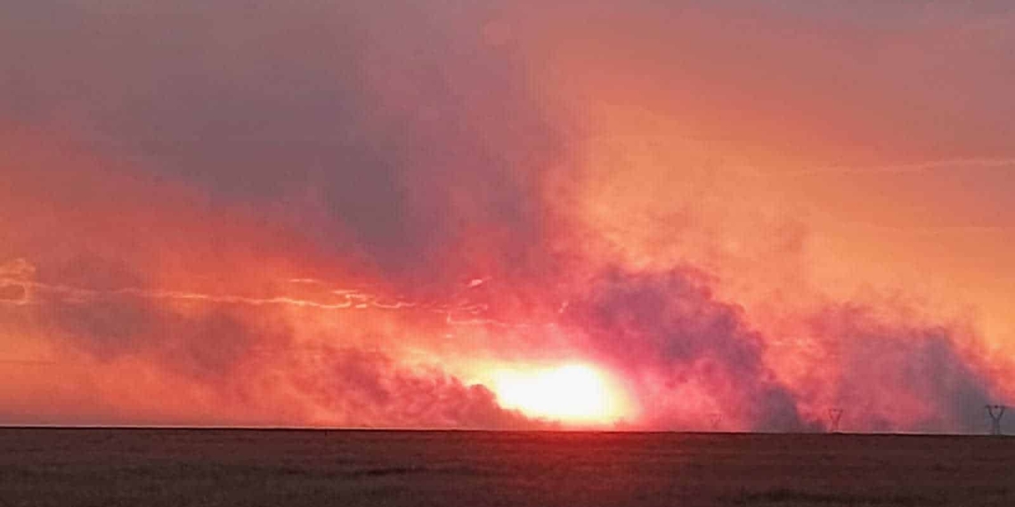 Fire danger: On 20 May, 7 000 sheep were left without grazing in the Free State after almost 30 000ha were destroyed during a runaway veld fire in the Boshof and Dealesville areas. Photo: Supplied/Food For Mzansi
