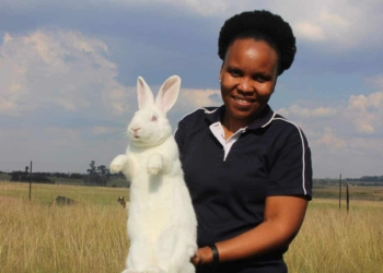 Lesego Morapeli is a laboratory technician who started rabbit farming in 2018 after attending trainings. | Agriculture events this week