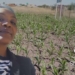 Nomathamsanqa Dyonase believes the agriculture sector is too male-dominated and is missing the special ingredients of a woman's touch to make it whole. Photo: Food For Mzansi/Supplied