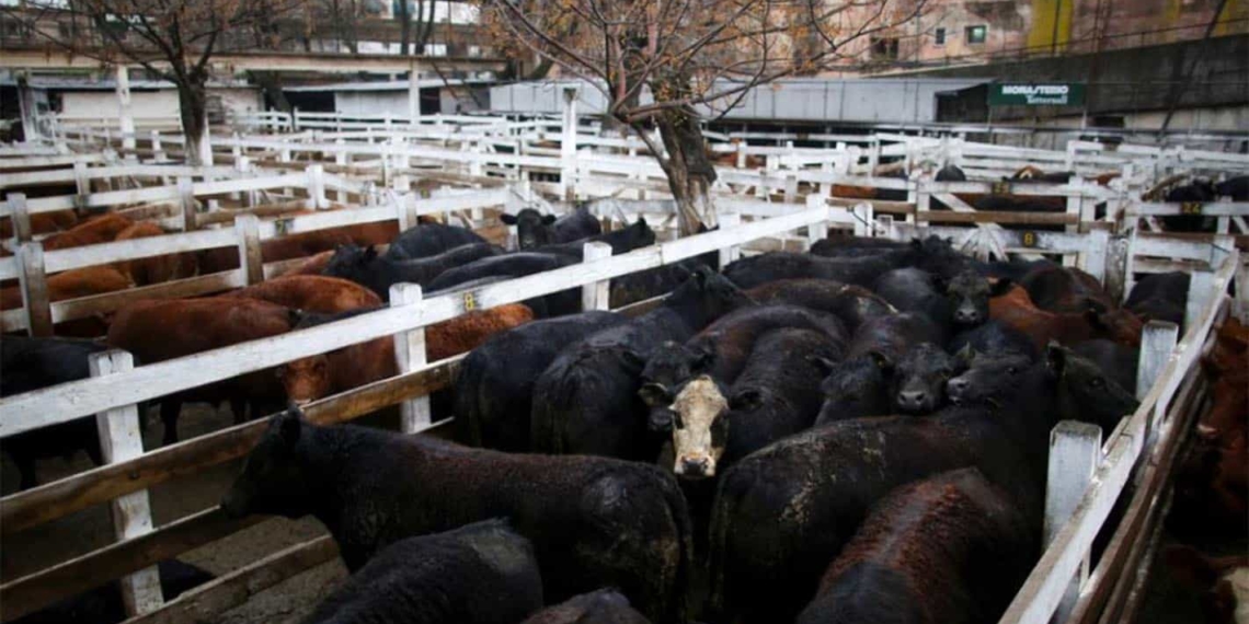 Argentine farm tensions