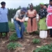 Future-focused farming: Harry Gwala Agri