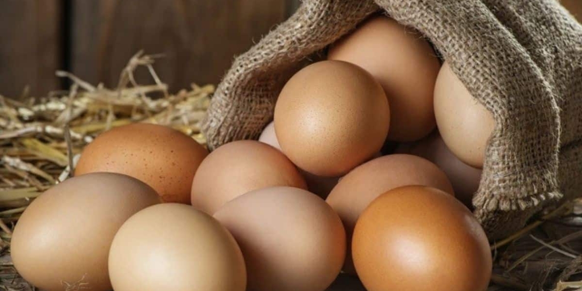 Experts are confident that poultry products are safe to consume despite a recent avian influenza outbreak. Photo: Supplied/Food For Mzansi