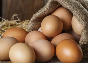 Experts are confident that poultry products are safe to consume despite a recent avian influenza outbreak. Photo: Supplied/Food For Mzansi