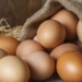 Experts are confident that poultry products are safe to consume despite a recent avian influenza outbreak. Photo: Supplied/Food For Mzansi
