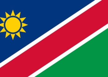 With immediate effect, Namibia has revoked all import and in-transit permits for poultry products from South Africa. Photo: Supplied/Food For Mzansi