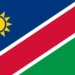 With immediate effect, Namibia has revoked all import and in-transit permits for poultry products from South Africa. Photo: Supplied/Food For Mzansi