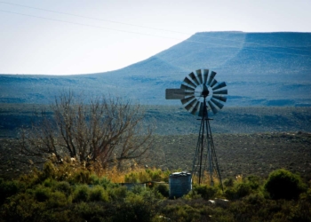 Like other business owners, farmers should take a strategic and systemic approach to their water needs and sources. Photo: Supplied/Food For Mzansi