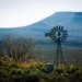 Like other business owners, farmers should take a strategic and systemic approach to their water needs and sources. Photo: Supplied/Food For Mzansi