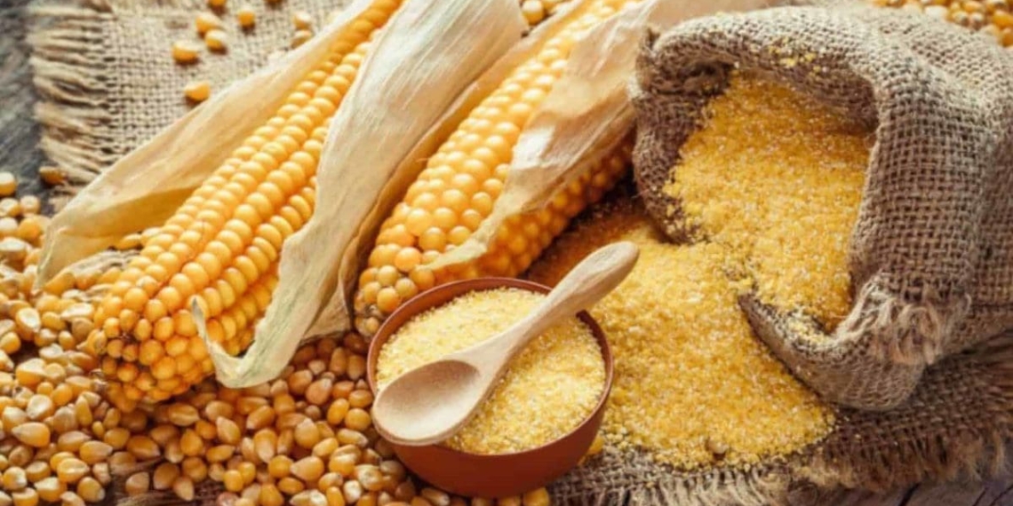 Transnet only has capacity to move 40% of the grain for export to ports. Photo: Supplied/Food For Mzansi