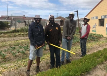 The four friends behing the Abathethi Food Garden in Nyanga are teaching community members in Western Cape townships about the importance of growing vegetables organically to preserve their health. Photo: Supplied/Food For Mzansi