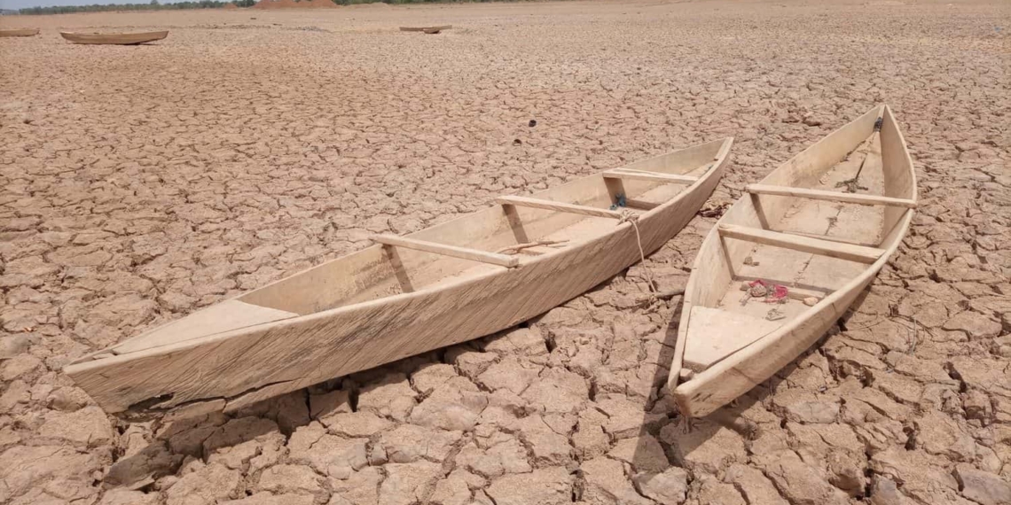 It is estimated that by 2050 an additional 71 million people globally will go hungry as a result of climate change. Photo: Supplied/Food For Mzansi