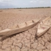 It is estimated that by 2050 an additional 71 million people globally will go hungry as a result of climate change. Photo: Supplied/Food For Mzansi