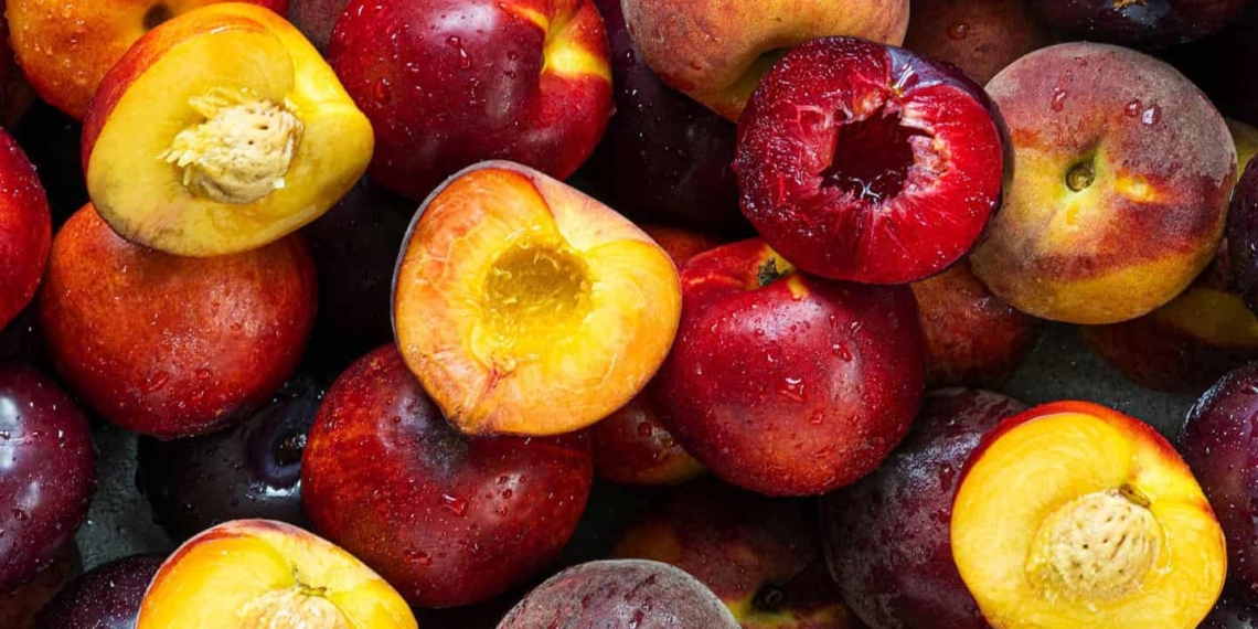 Nectarines, apricots, peaches, plums, and prunes from South Africa could soon be heading to China following a landmark trade agreement. Photo: Pexels