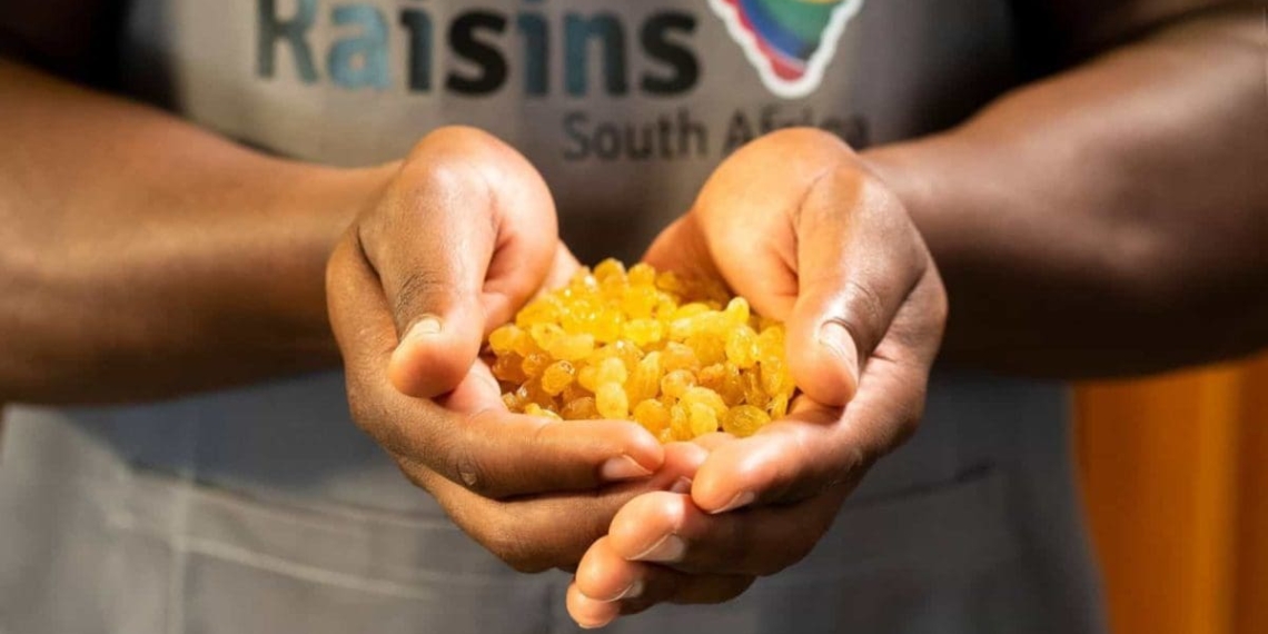 Despite let-downs in the previous raisin season, the industry remains is optimistic about its global positioning. Photo: Supplied/Raisins SA