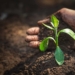 Tapping into science to support soil erosion solutions in Africa