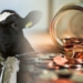 Global inflationr: What would have been one of the best initiatives by the Free State government has turned into a national scandal of fraud and money laundering. Photo: Supplied/Food For Mzansi
