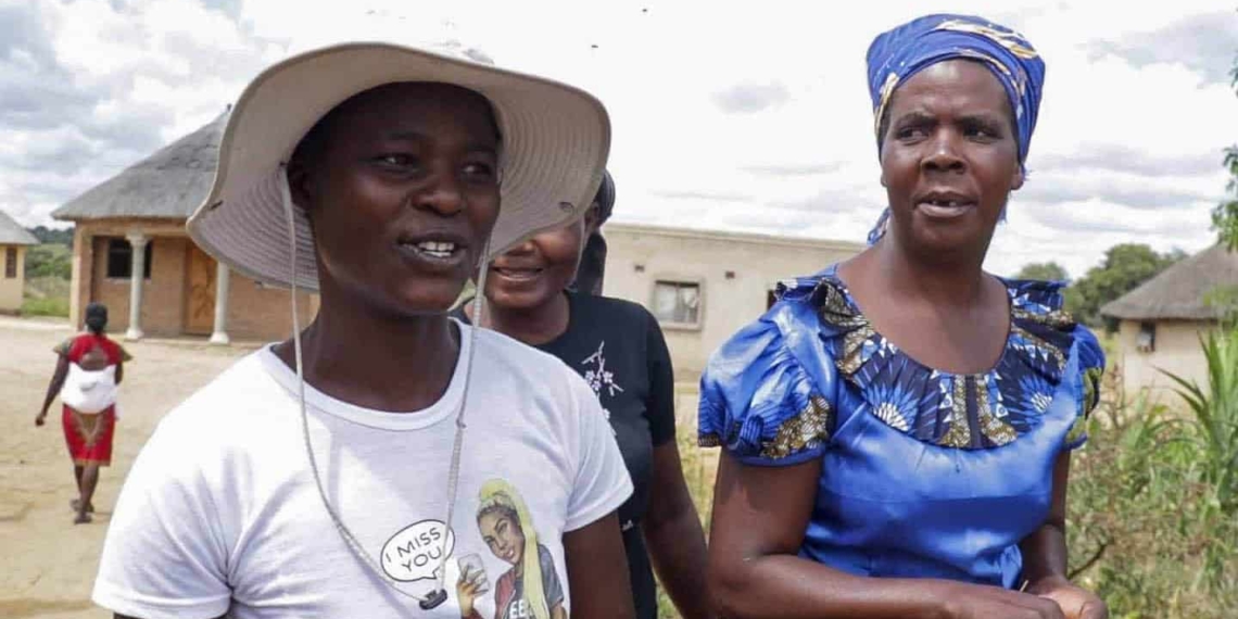 Sibanda and her colleagues harvest an average of 10kg of maggots every three days, drying them then mixing them with other components to make chicken feed. Photo: Supplied