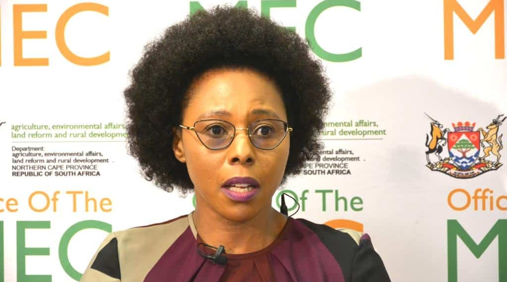 Reappointed MEC Mase Manopole has vowed to champion farmers' success and lead the province in job creation and agricultural excellence. Photo: Supplied/Food For Mzansi