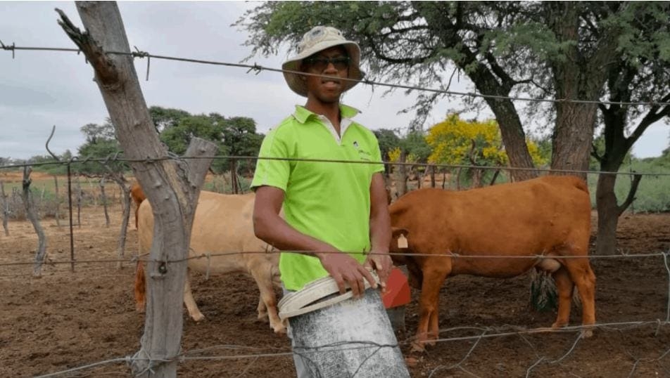 Farmer Lopang Disipi uses Voermol Production Lick to ensure maximum growth in his livestock. Photo: Supplied/Food For Mzansi