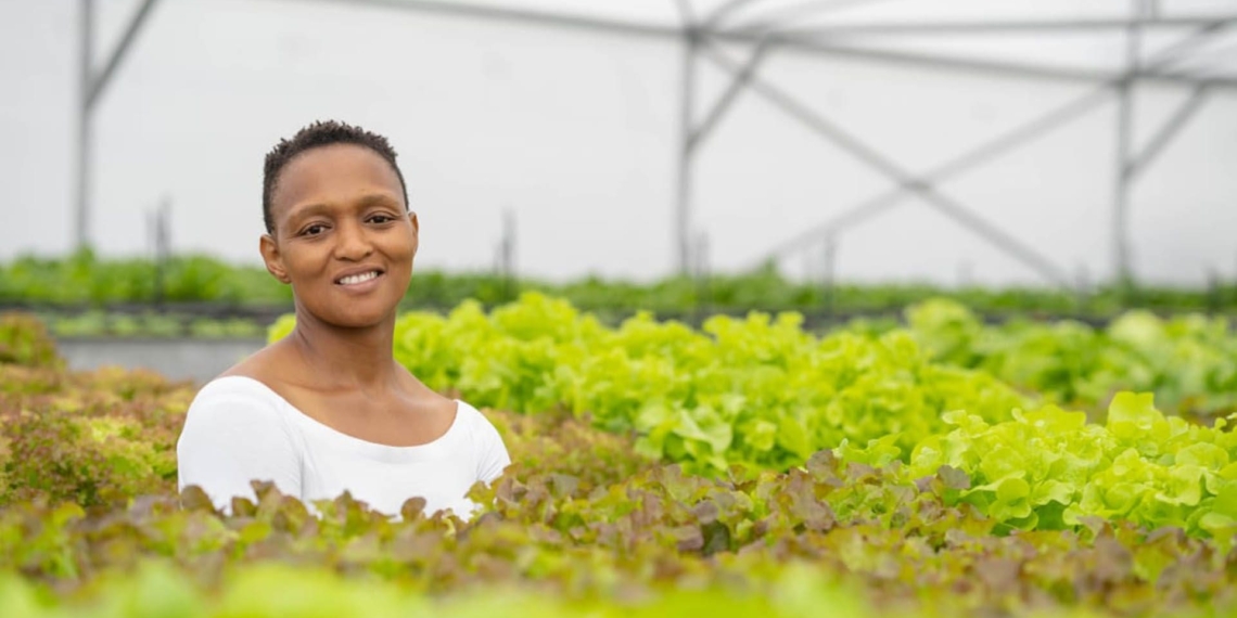 rooftop farm