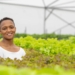 rooftop farm