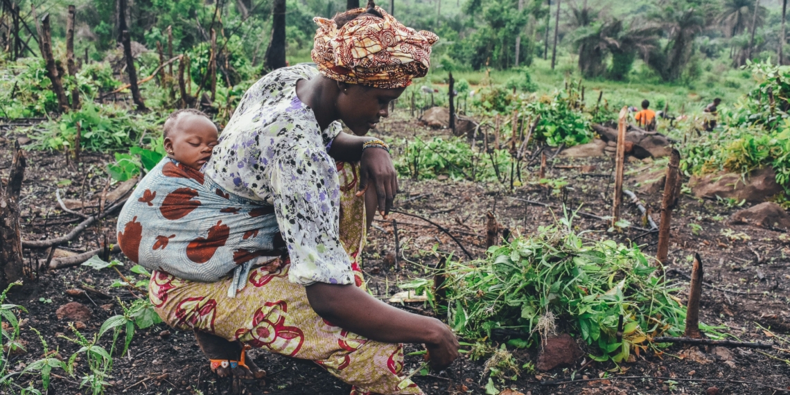 Themed, ‘producers, leading the future of trade’, the seventh Africa fairtrade convention is set zoom into how   value chains and conditions translating to improved livelihoods for farmers and workers in Africa can be improved. Photo: Supplied/Food For Mzansi