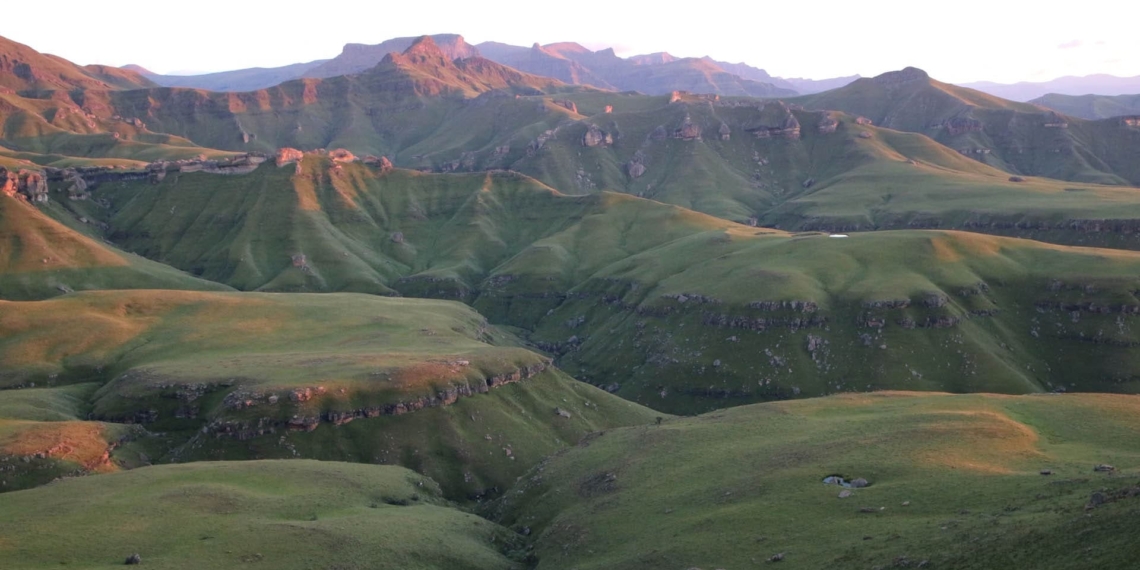 land reform
