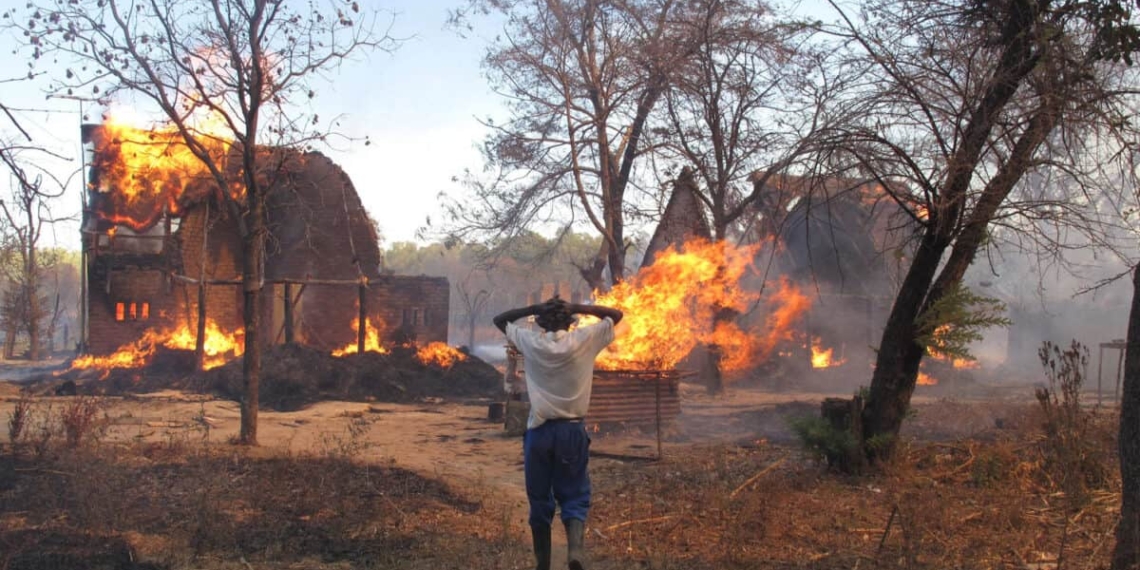 Zimbabwe embarked on often violent land grabs from white farmers in 2000 after an instruction by former president Robert Mugabe. Photo: Supplied/ZimLive