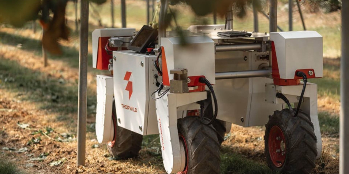 Robots are now treating plant diseases in fields and glasshouses, and will be mapping terrain, picking, packing, and providing logistical support to workers over the course of the project. Photo: Supplied/Food For Mzansi