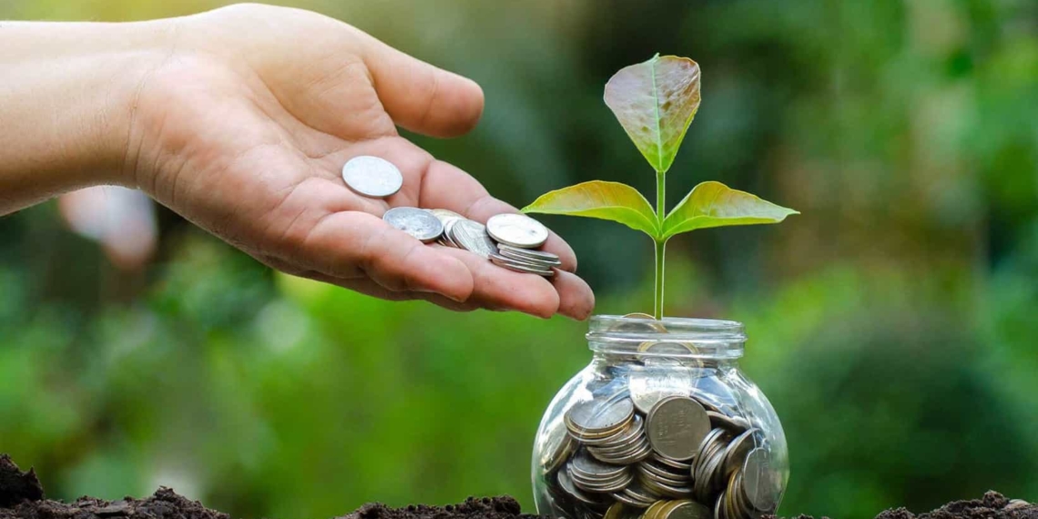 The Agri-Industrial Fund launched by the Industrial Development Corporation and the department of agriculture, land reform and rural development is considered a step toward in breaking down barriers in agriculture. Photo: Supplied/Food For Mzansi