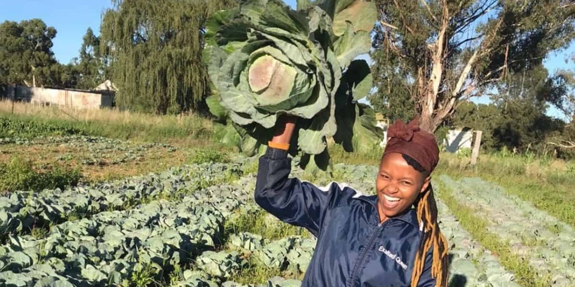 Njabulo Mbokane, who farms on leased land in Ermelo and Lothair in Mpumalanga, was FarmSol’s very first Youth Ambassador. Photo: Twitter