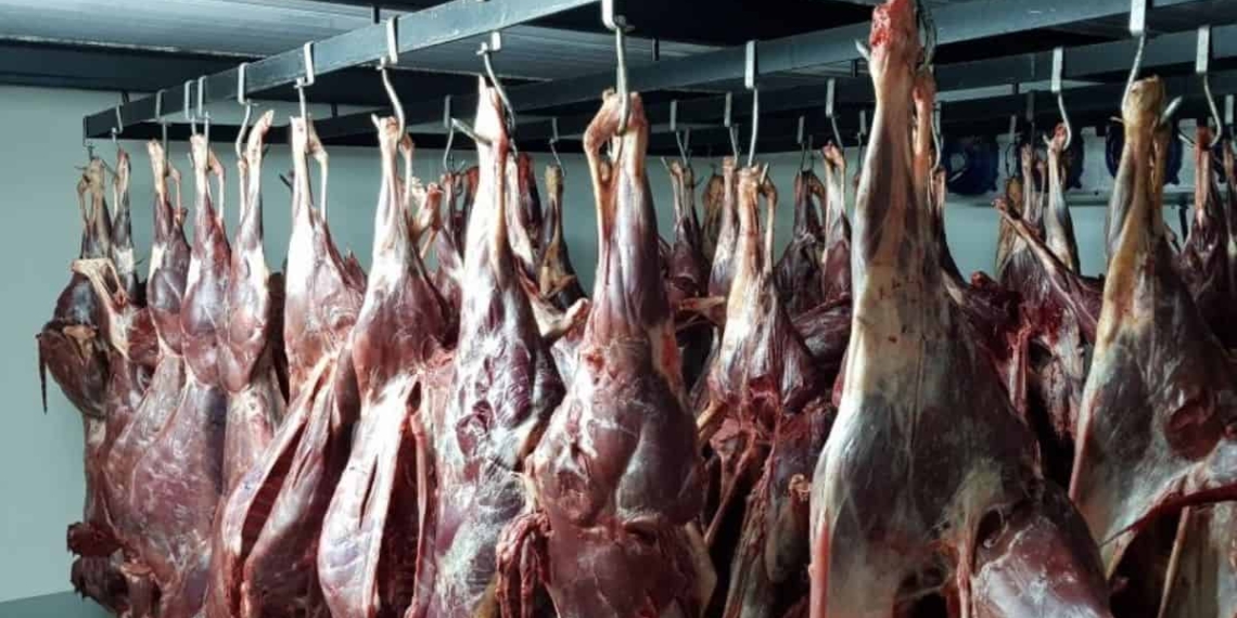The Eastern Cape government reminded game farmers that, in accordance with the law, meat must be inspected by a qualified person before it is slaughtered. Photo: Supplied/Food For Mzansi