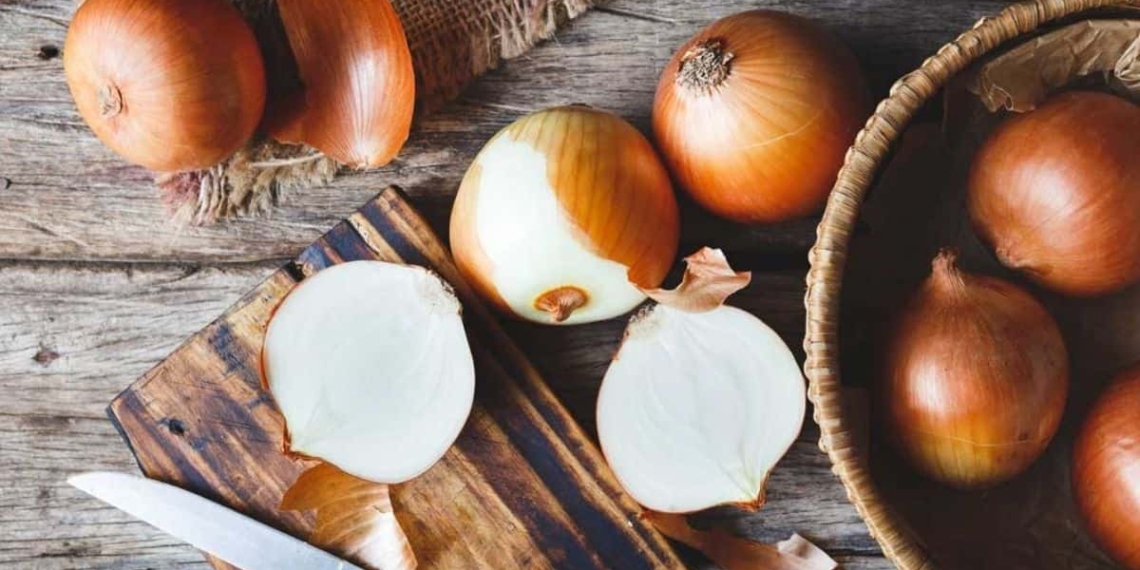 Last week, the onion price slightly increased to R4,05 per kilogram. Photo: Supplied/Food For Mzansi