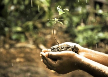 Agriculture remains a beacon of growth and innovation