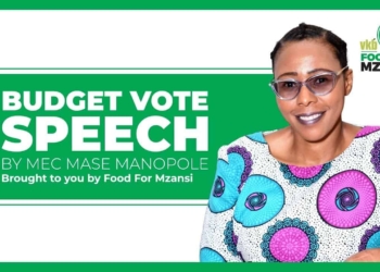 Watch live: MEC Manepole tables budget vote for 2021/22