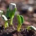 Inequality within food systems was the topic of discussion and education during the 2021 UN Food Systems Summit. Photo: Supplied/Food For Mzansi