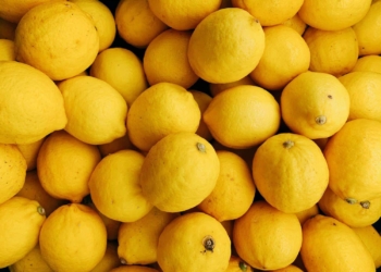 agriculture events: The South African citrus industry can now export greater quanities to China after the signing of a protocol agreement. Photo: Supplied/Unsplash
