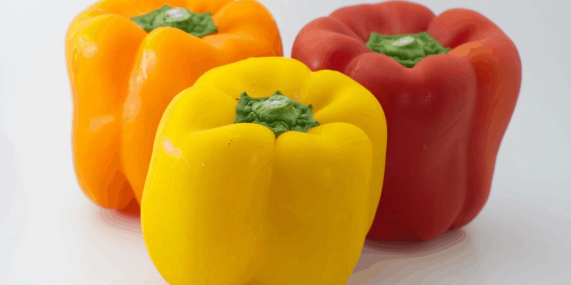 Poor weather conditions across the globe are affecting the supply of peppers in many markets, however this wont affect Mzansi’s bell pepper prices. Photo: Supplied/Food For Mzansi