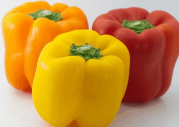 Poor weather conditions across the globe are affecting the supply of peppers in many markets, however this wont affect Mzansi’s bell pepper prices. Photo: Supplied/Food For Mzansi