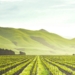 A significant increase in exports from Mzansi can be ascribed to favourable local production, global demand and collaboration between the agricultural and logistics sectors of South Africa in getting produce through the country's ports. Photo: Supplied/Food For Mzansi
