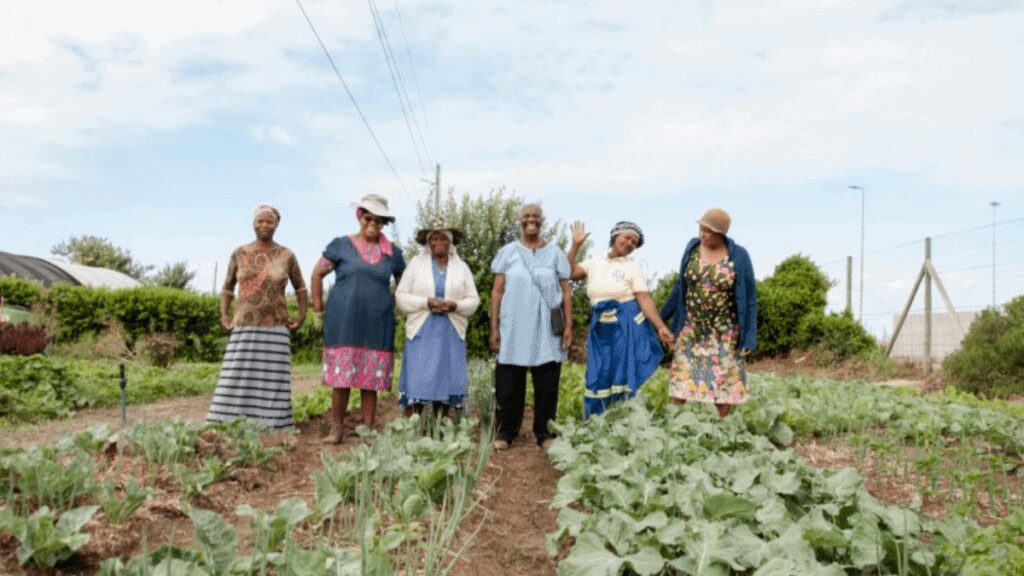 community farmer