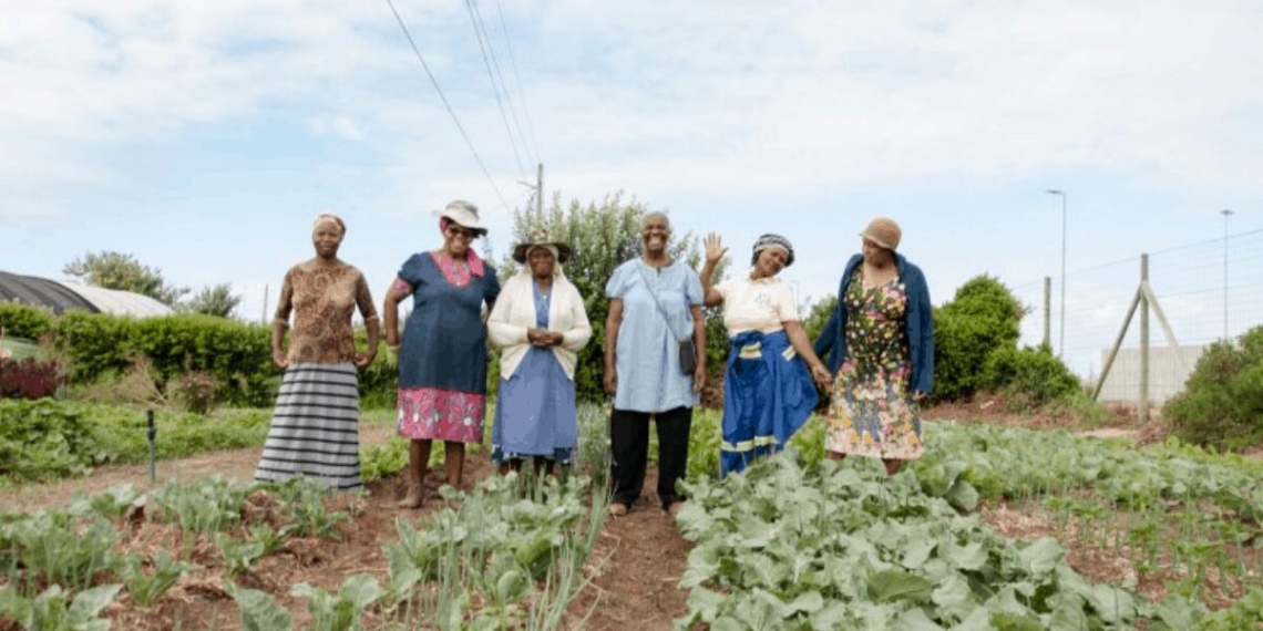 community farmer