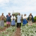 community farmer