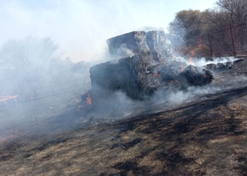 Tsephiso Jantjies had to deal with a fire on his farm. Photo: Supplied/Food For Mzansi