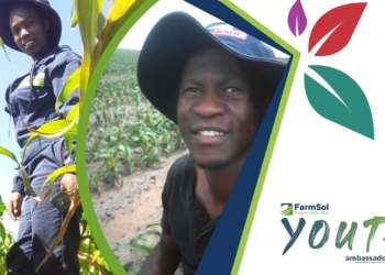 With the help of FarmSol, the Ntuli Siblings are carving their own way in the agricultural sector. Photo: Supplied/ Food for Mzansi