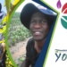 With the help of FarmSol, the Ntuli Siblings are carving their own way in the agricultural sector. Photo: Supplied/ Food for Mzansi
