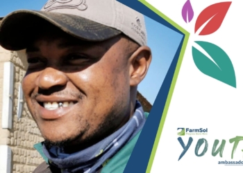 FarmSol is making it possible for Clifford Mthimkulu to continue his father's legacy. No-till