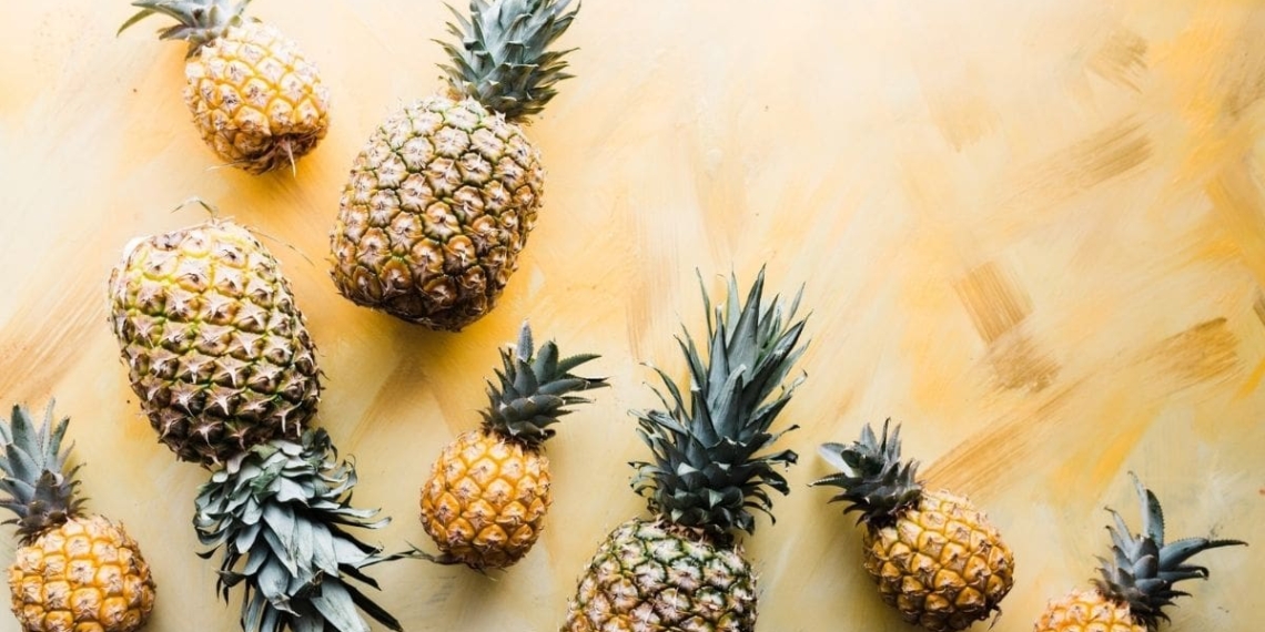 how to grow pineapples header image