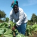 6 tips to thrive as a township farmer