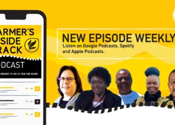 This week’s farming podcast features (from left) Carolien Sampson, Prof Lindiwe Sibanda, Dr Naudé Malan, Erasmus Sefoloshe, Nthabiseng Mathebula, and Aron Kole. Photos: Supplied/ Food for Mzansi
